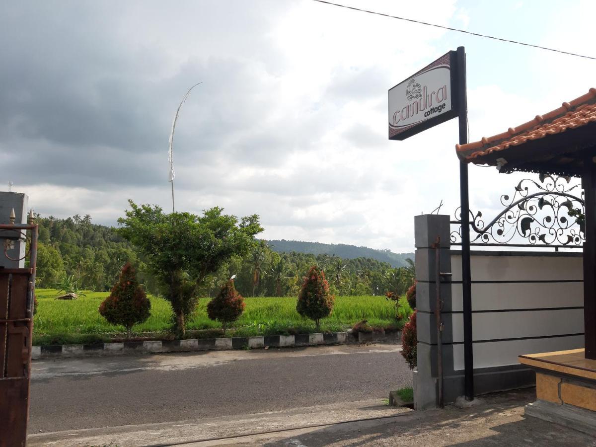 Candra Cottage Munduk  Bagian luar foto