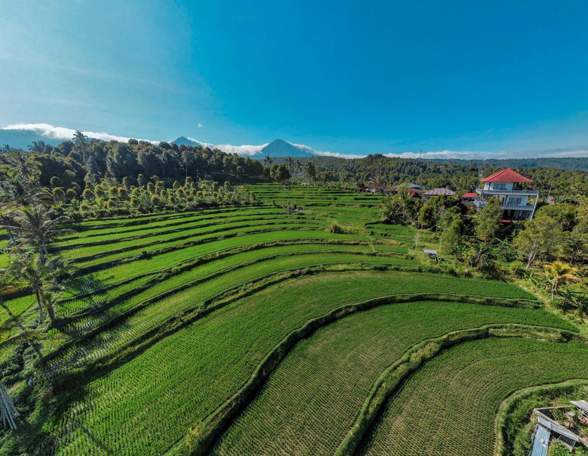 Candra Cottage Munduk  Bagian luar foto